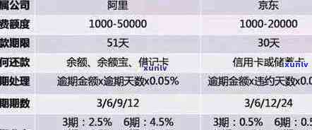 信用卡逾期还款困境：解决方案与建议，让你重新规划财务状况