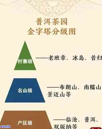 普洱茶一级、二级和三级的区别及其特点对比，哪个更好？