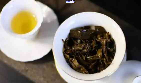 大号普洱茶：品质越，口感醇厚的茶叶佳品探索