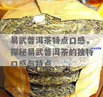 易武普洱茶：独特口感与品质特点全面解析，助您挑选满意之选