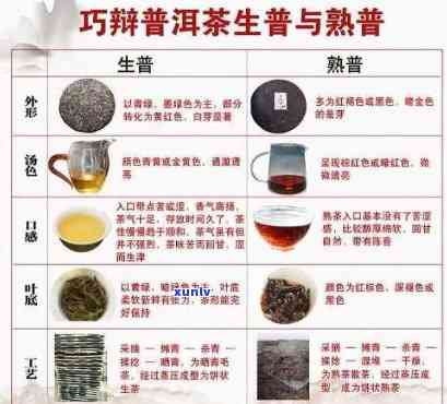 福字号普洱茶：品种特点、 *** 工艺、品饮 *** 及功效解析，一文全面了解