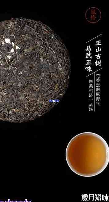 易武正山普洱茶龙韵：云南茶叶的魅力与特色