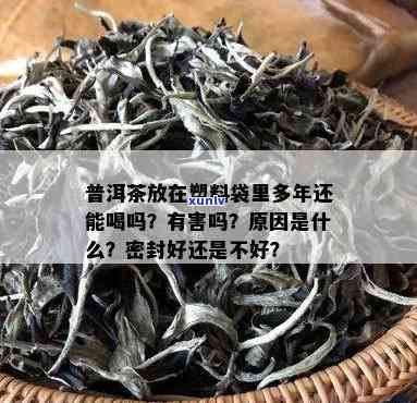 '塑料袋在存普洱茶时的影响：是否适用及其原因解析'