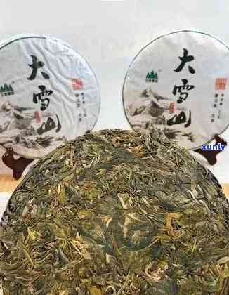 大雪山普洱茶特点与口感简介：凤庆产区的权威解读