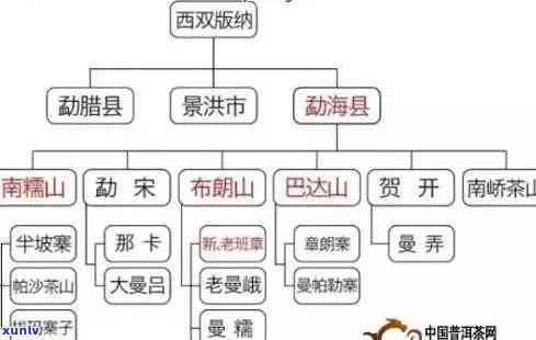 中粮天下为公普洱茶：品质、产地、工艺、口感等全方位解析与比较