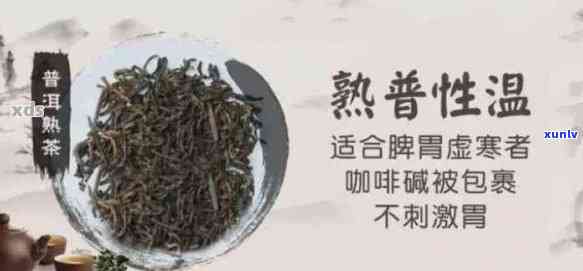 普洱茶对胃寒虚寒体质的人有何影响？医生告诉你能否喝