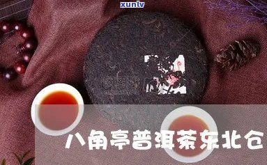 八角亭普洱茶东北仓