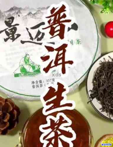 羊肉和普洱茶：喝完羊后，何时品茗最合适？健专家解答疑问