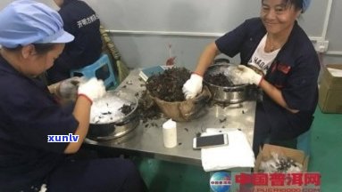 万寿龙团普洱茶加工厂地址查询：请提供您所需的详细地址。