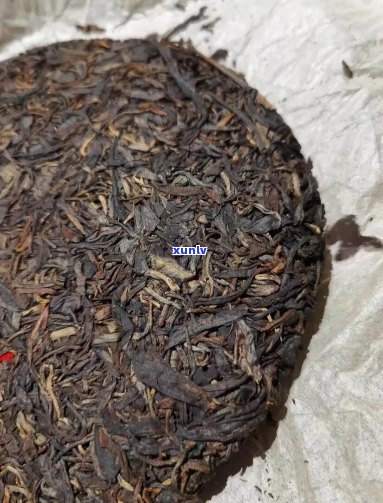 钓鱼台瑞聘号古茶：瑞气盎然，精选500g普洱茶，批发货源