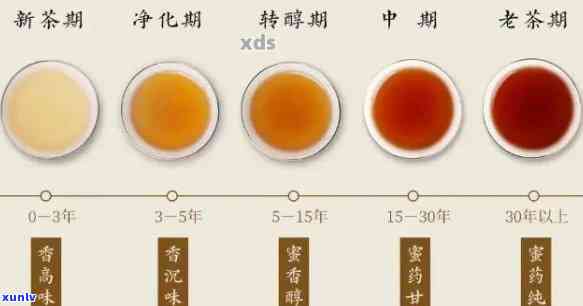 十年以上普洱茶：品种、品质、陈化及泡法的全面解析，助你挑选与品鉴