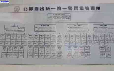 平安信用卡逾期不减免