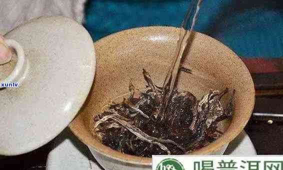 泡普洱茶用不用茶漏