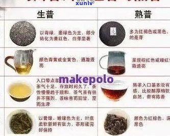 全面解析：朗润缘普洱茶品质、口感、功效及购买指南，看看它是否值得一试？