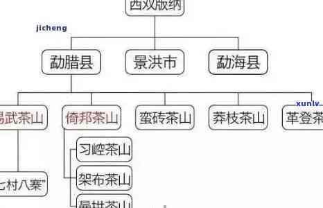 八大山普洱茶官网：全面了解普洱茶的品种、 *** 工艺、品饮 *** 及购买渠道