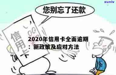 2020年银行信用卡逾期政策：最新解读与信用建设策略