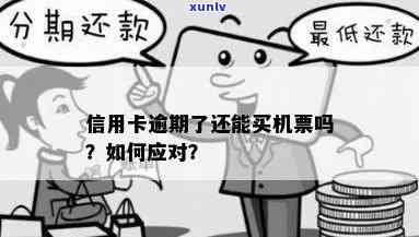 信用卡逾期是否会影响购买机票及如何解决逾期问题以顺利出行