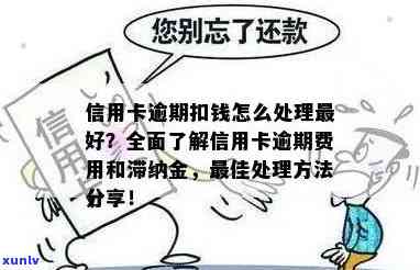 信用卡还款逾期的完整处理指南：避免滞纳金和利息累积的关键步骤