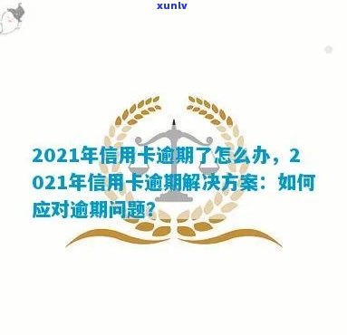 2021年信用卡逾期解决方案：如何处理、影响及预防措全方位解析