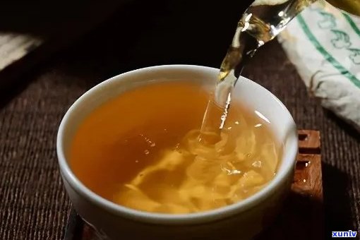 云南特色普洱茶品鉴：云茗木普洱茶的魅力与口感分析