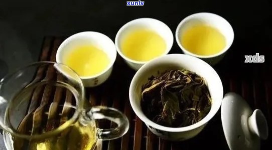 云南凤庆县特色普洱茶品鉴：品质与口感解析