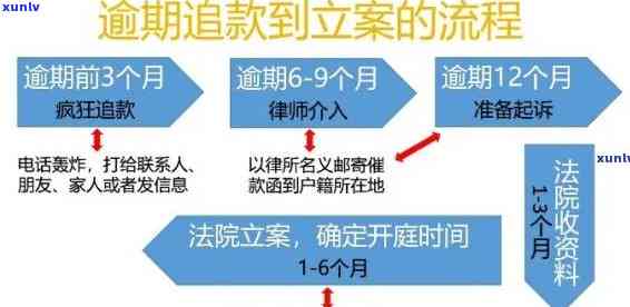 信用卡逾期立案处理全流程：从查询到解决，一文详解！