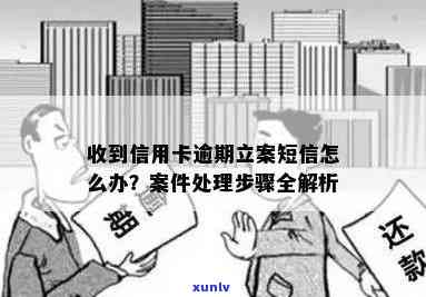 信用卡逾期立案处理全流程：从查询到解决，一文详解！