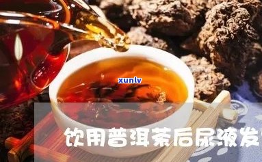 喝普洱茶后尿液变红的原因及解析