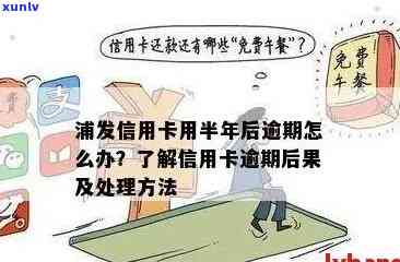 浦发信用卡逾期申诉全面指南：了解流程、应对措及常见问题解答