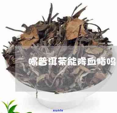 普洱茶降血脂效果明显，百度百科中有详细解释。