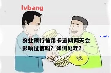 农行信用卡逾期不良记录怎么消除掉？如何解决这个问题？