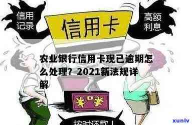 农业银行信用卡逾期状况查询全攻略：如何避免不良信用记录