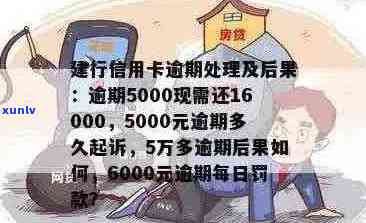 建设银行信用卡逾期7个月，5000元的处理与后果分析