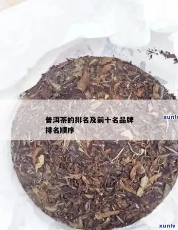 普洱茶排行榜前十：历与最新推荐