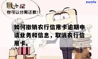 农行信用卡申请逾期清除全流程：如何快速消除逾期记录并重新获得信用？