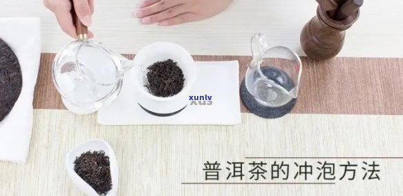 冲普洱茶用多少度水