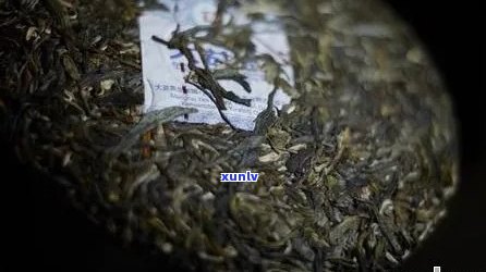 '普洱茶有苦涩味：好茶标志？哪些种类有？正常现象吗？原因何在？'