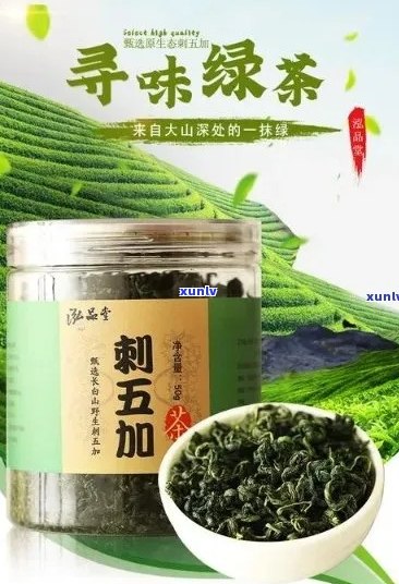 刺五加茶：一种全面改善健的新选择