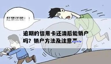 信用卡逾期全部还清销户