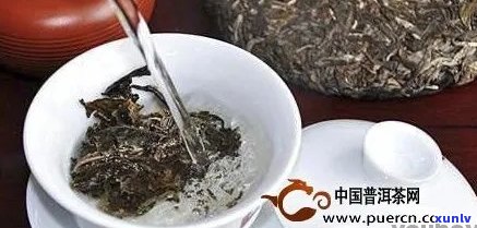 青泥可泡普洱茶吗