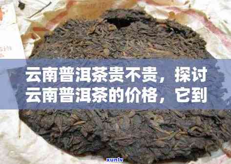 云南普洱茶平均价格