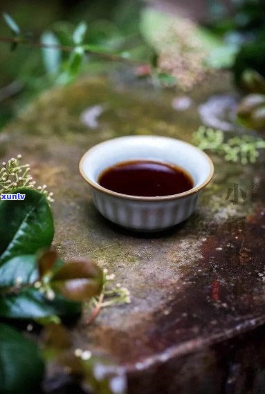 如何在下雨天享受普洱茶的香气？