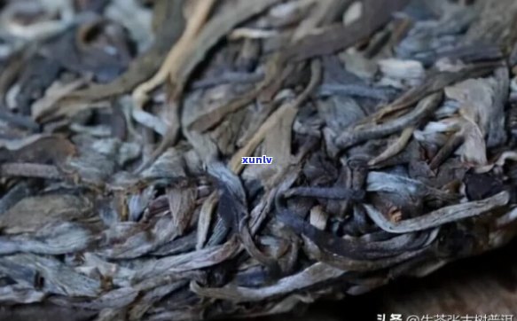 普洱茶4级料什么样：普洱茶几级料是好的？普洱茶的4级茶青是什么意思？