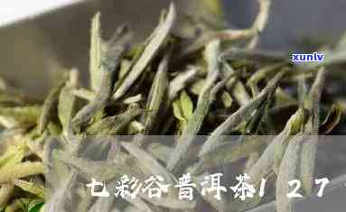 七彩谷普洱茶口感与品质：价格实，值得一试！