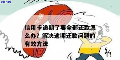 信用卡逾期还款问题全面解析：逾期未还款如何解决？