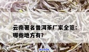 云南著名普洱茶，属于什么茶？云南著名普洱茶厂排名及列表在此。