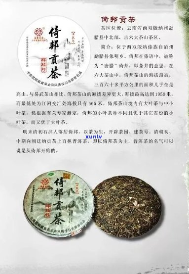 云南十大名片普洱茶