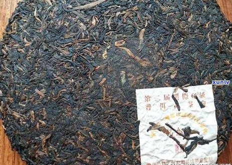 一克普洱茶的泡水量：深入解析与技巧，让你的茶更好喝！