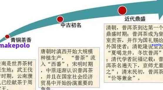 官网：探索中国普洱茶的完整指南，解答您的所有疑问