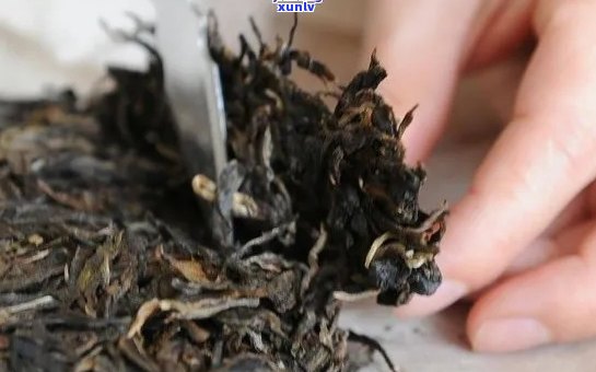 普洱茶泡开后都是碎碎的正常吗？还能喝吗？